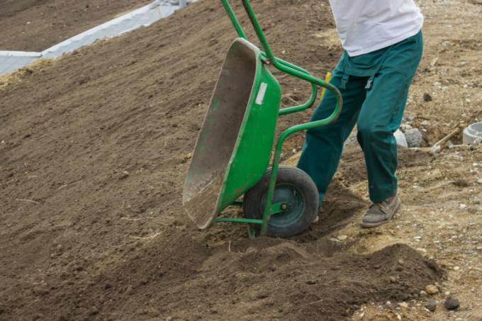 Som arbeidsinnvandrere har kommet til å grave i hagen min, og hvor mange har bedt om arbeid