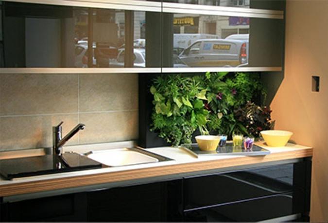 Grønne på kjøkkenet - friske ideer for bruk av hjemmeplanter