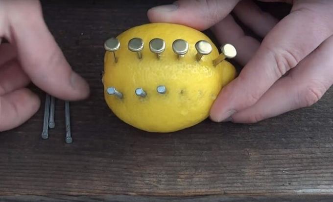  Lemon - en mystisk sitrus som kan glede ikke bare vitaminer. / Foto: s1.dmcdn.net. 