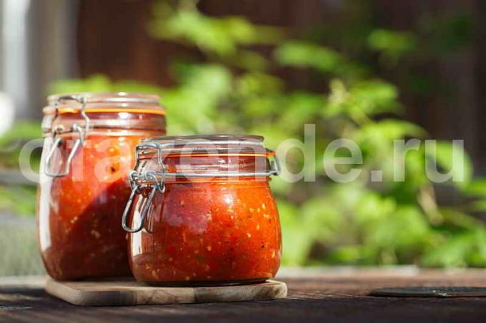 Oppskrift salsa saus. Illustrasjon for en artikkel brukes for en standard lisens © ofazende.ru