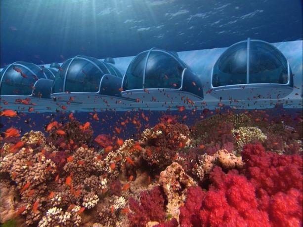 Underwater hotellet i skjærgården utenfor Fiji. | Foto: s-media-cache-ak0.pinimg.com.