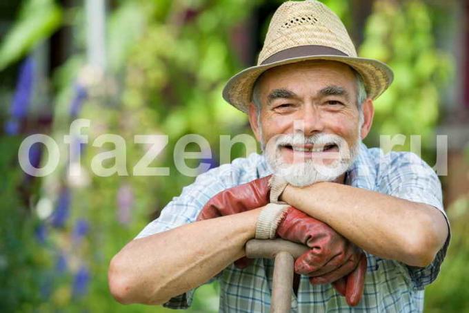 Riktig planlegging av vegetabilsk Neighborhood