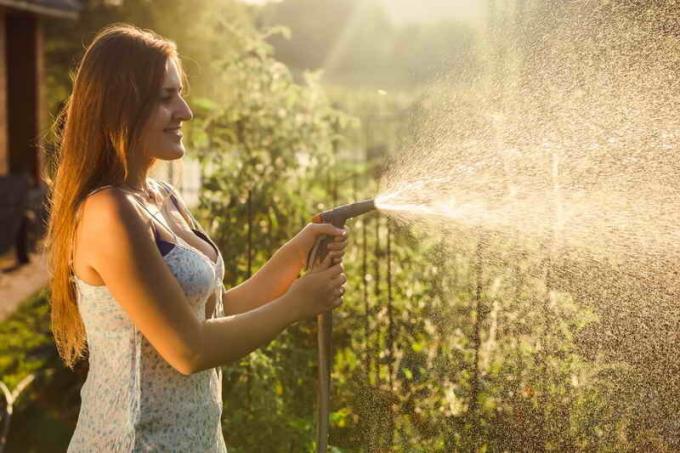 Kvinnen vanning grønnsaker. Illustrasjon for en artikkel brukes for en standard lisens © ofazende.ru
