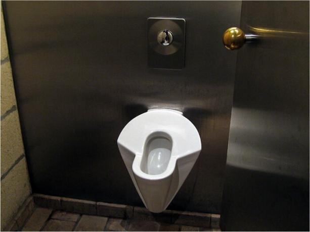 kvinnelig urinal utformingen litt. likevel forskjellig fra menn.
