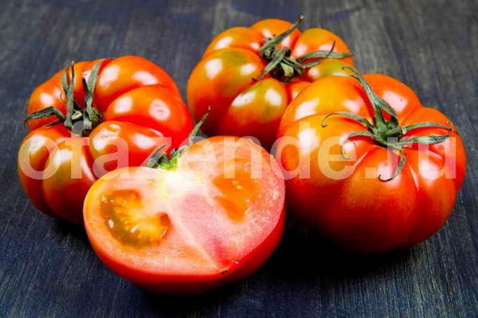 Hvordan å fremskynde modning av tomater
