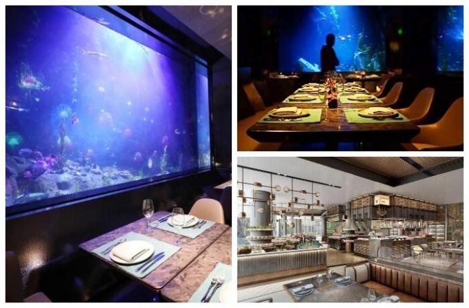 Underwater restaurant Mr Fisher Hotel Songjiang Intercontinental.
