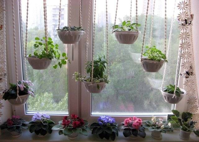 Original vindusdekorasjon med planter