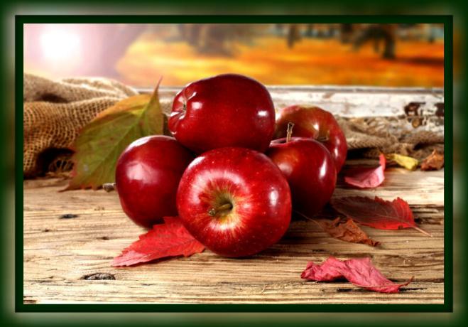 Hvordan holde epler frisk for vinteren hjemme