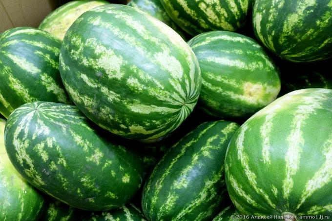 Den beste måten å velge en vannmelon