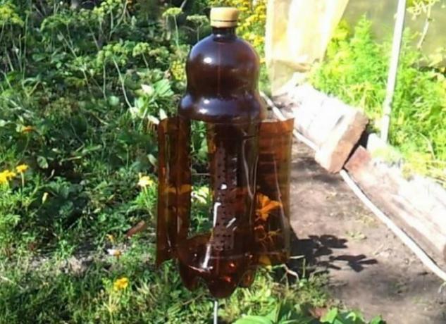 Nyttige anvendelse av plastflasker i hagen (del 2)